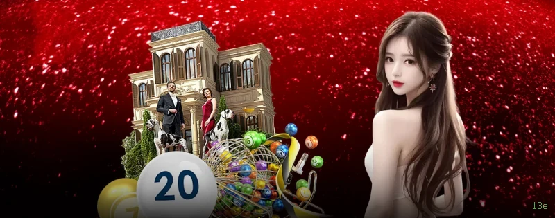 Interface Premium 13e